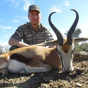 Springbok Hunting in South Africa