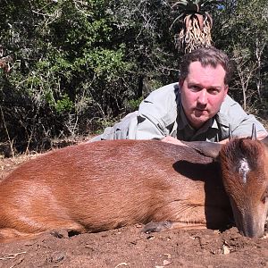Hunt Red Duiker South Africa