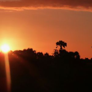 Sunset in Zambeze Mozambique