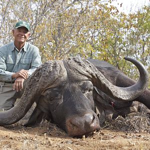 Cape Buffalo Hunt Mpumalanga South Africa