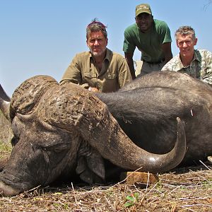 Cape Buffalo Hunt Lebombo Mozambique