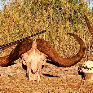 Lebombo Mozambique Hunting Trophies