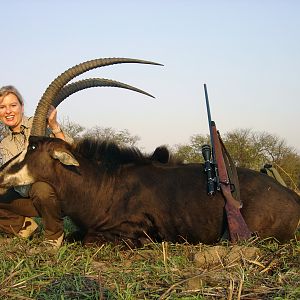 Hunt Sable Antelope Zambeze Mozambique