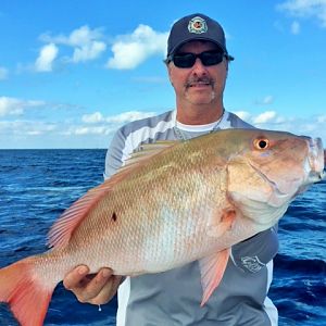 Fishing Snapper Miami