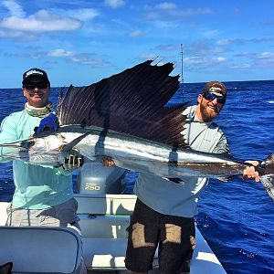 Miami Fishing Marlin