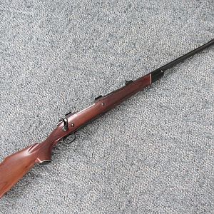 Winchester model 70 in .375 H&H Rifle