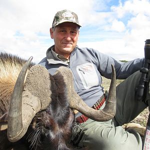 South Africa Hunting Black Wildebeest