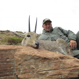 Hunt Grey Rhebok in South Africa