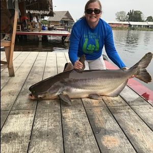 One of Tammy's mekong catfish
