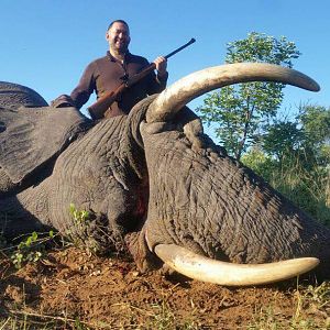 Zimbabwe Hunting Elephant