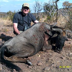 Blue Wildebeest Hunt in South Africa