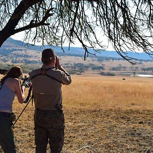 Hunt South Africa with Shooting Stick & Glassing Game