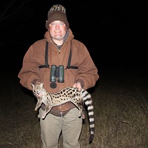 South Africa Hunt Spotted Genet Cat