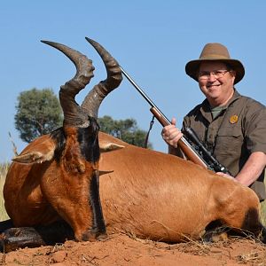 South Africa Hunting Red Hartebeest