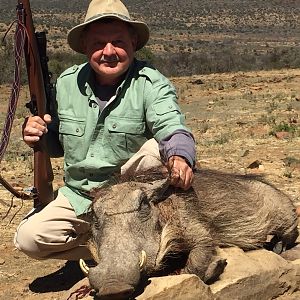 South Africa Hunting  Warthog
