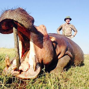 Zimbabwe Hunt Hippo