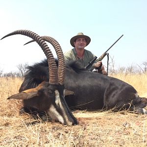 Hunt Sable Antelope Zimbabwe