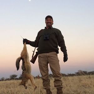 Jackal Hunt in South Africa