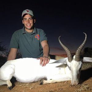 South Africa Hunt White Springbok