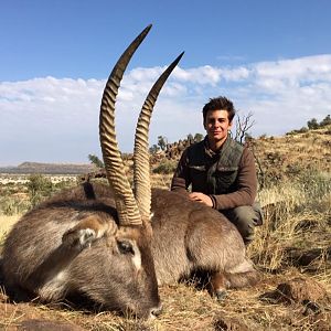 Waterbuck Hunting South Africa