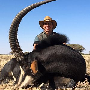 Hunt Sable Antelope South Africa