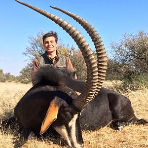 South Africa Hunting Sable