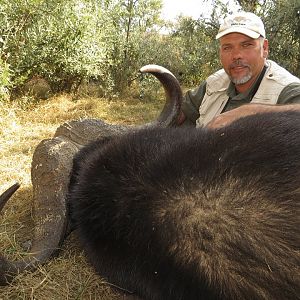 South Africa Hunting Buffalo