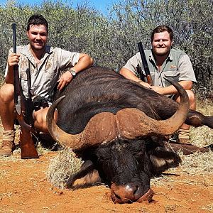 Hunt Cape Buffalo South Africa