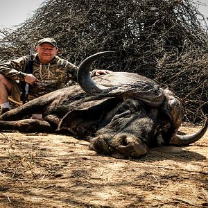 Buffalo Hunting in South Africa