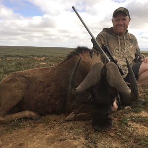 Black Wildebeest Hunt in South Africa