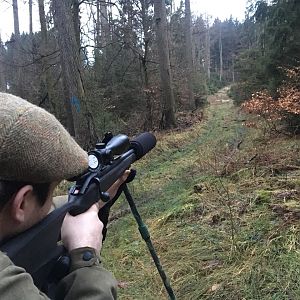 Germany Hunting