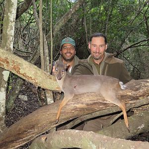 Blue Duiker Hunting South Africa