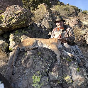 Arizona Hunting Mountain Lion