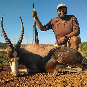 South Africa Hunting Blesbok