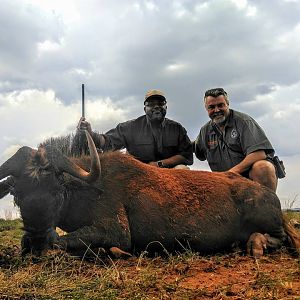 Hunt Black Wildebeest in South Africa