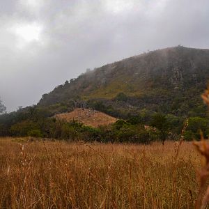 South Africa Hunting Area