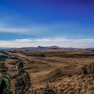 South Africa Hunting Grey Rhebok