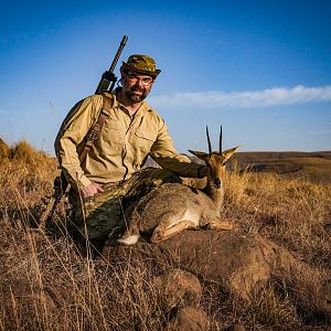 South Africa Hunting Grey Rhebok