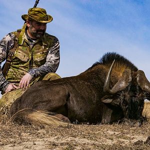 South Africa Hunt Black Wildebeest