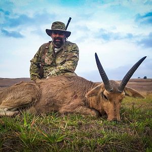 South Africa Hunting Reedbuck