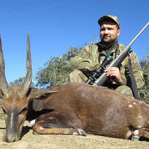 Hunting Bushbuck South Africa