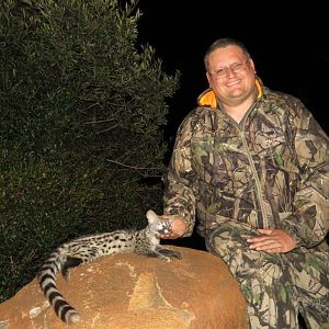 Hunt Serval Cat in South Africa