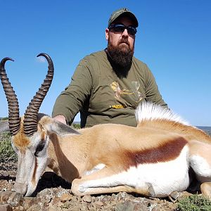 Hunting Springbok South Africa