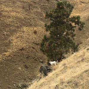 Steep country Central Washington