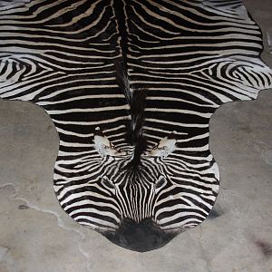 Burchell's Plain Zebra Rug