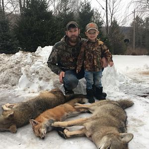 Coyote & Fox Hunt