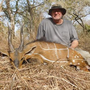 Hunting Harnessed Bushbuck Burkina Faso