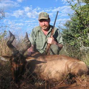 Hunting Red Hartebeest