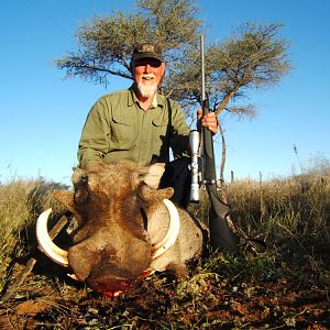 Warthog Hunt Nambia