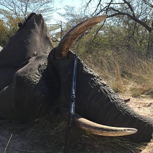 Namibia Hunting Elephant